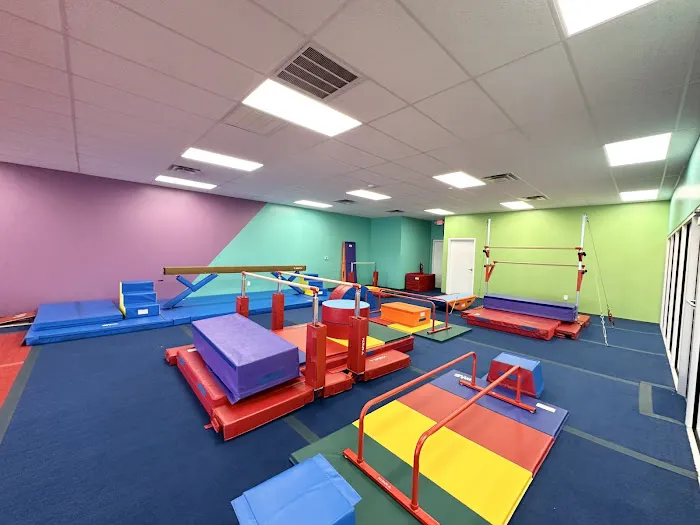 The Little Gym of Rock Hill Picture 6
