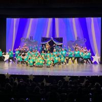 Dimensions Dance Arts ico