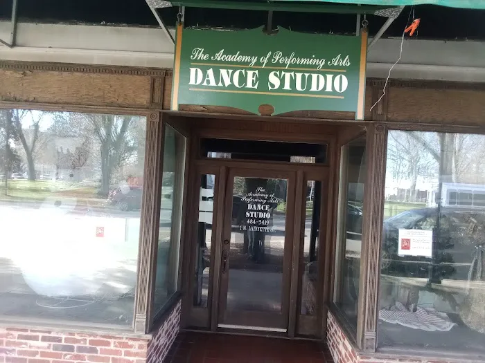 Academy of Performing Arts Picture 1