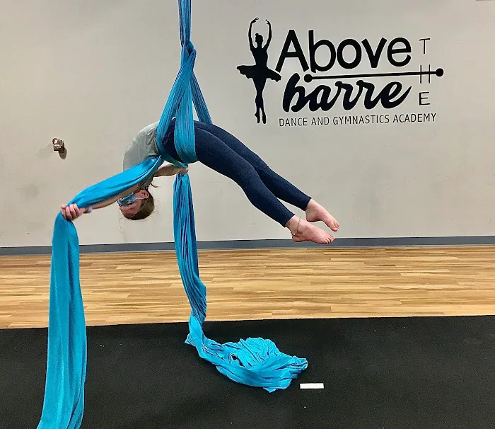 ABOVE THE BARRE Dance & Gymnastics Academy Picture 6