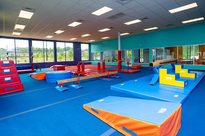 The Little Gym of Waxhaw Picture 10