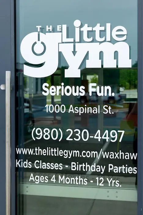 The Little Gym of Waxhaw Picture 9
