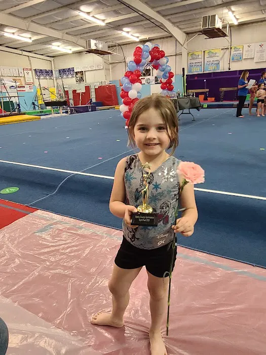 Stanly County Gymnastics Picture 5
