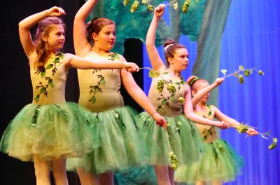 Elevate Ballet Co Picture 10