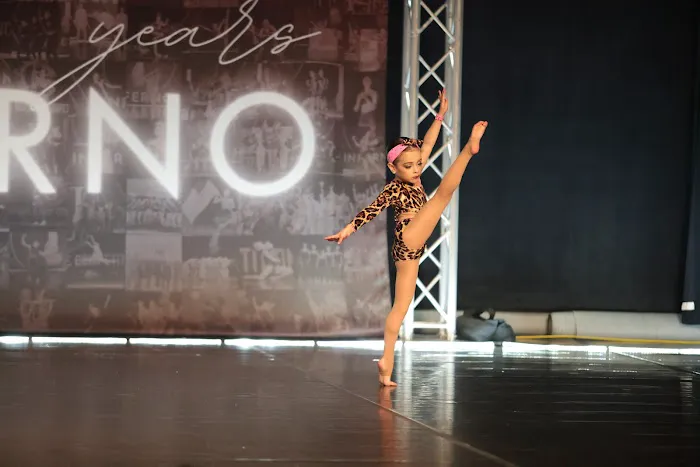 Elite Academy of Dance Picture 4