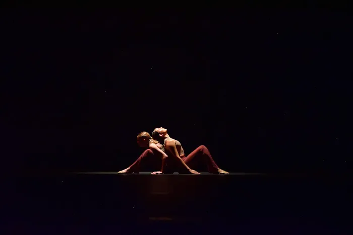 Bold Moves Dance Company Picture 5