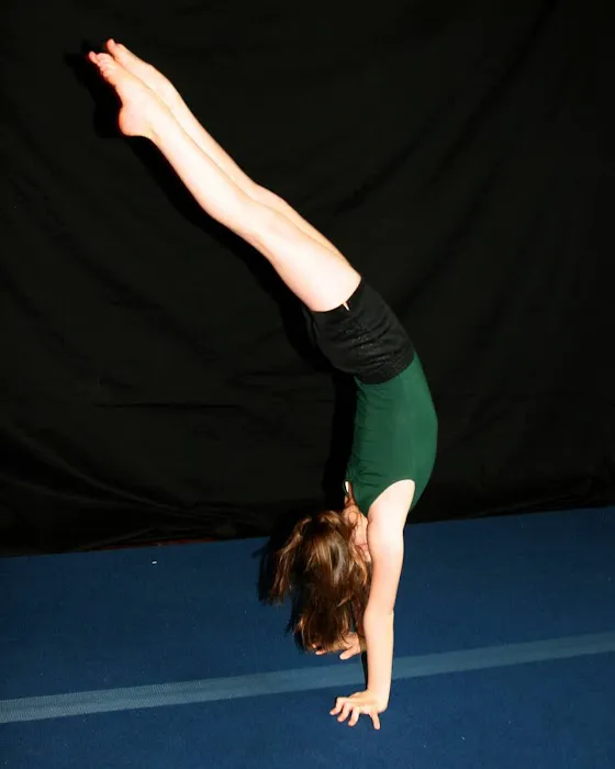 Carolina Dance and Gymnastics LLC (Siler City) Picture 7