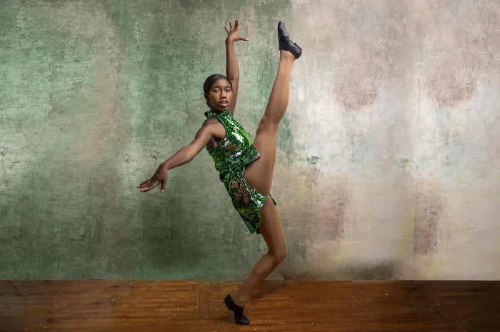 Avk Dance Studio Picture 2