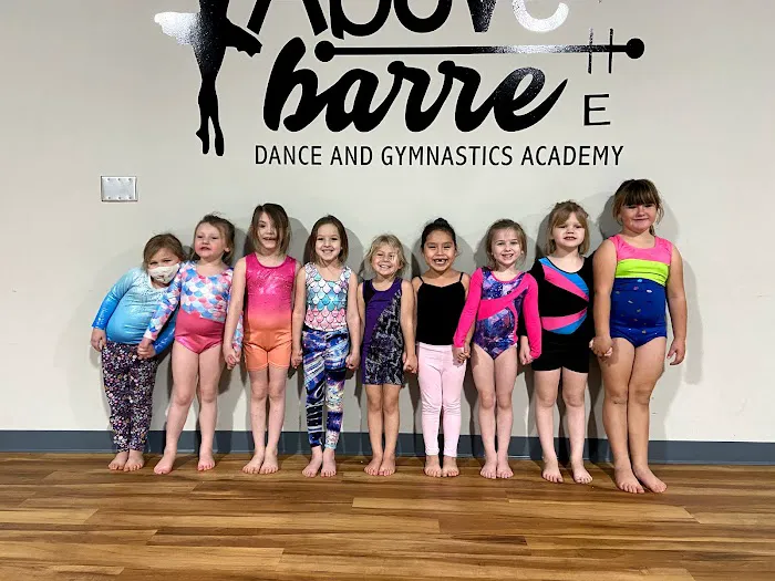 Above the Barre Dance & Gymnastics Academy Picture 3