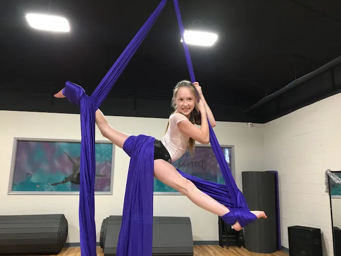 Above the Barre Dance & Gymnastics Academy Picture 1