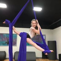 Above the Barre Dance & Gymnastics Academy ico