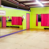 Dancer's Workshop ico