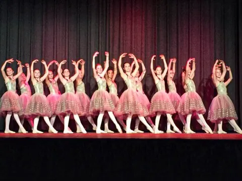 Sanford School of Classical Ballet Picture 8
