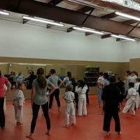 Goshin Dojo LLC ico