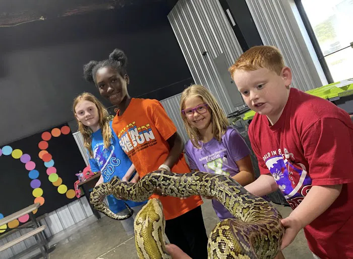BDC After School & Summer Camp Picture 3