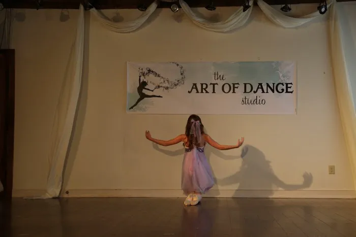 Art of Dance Studio Picture 2