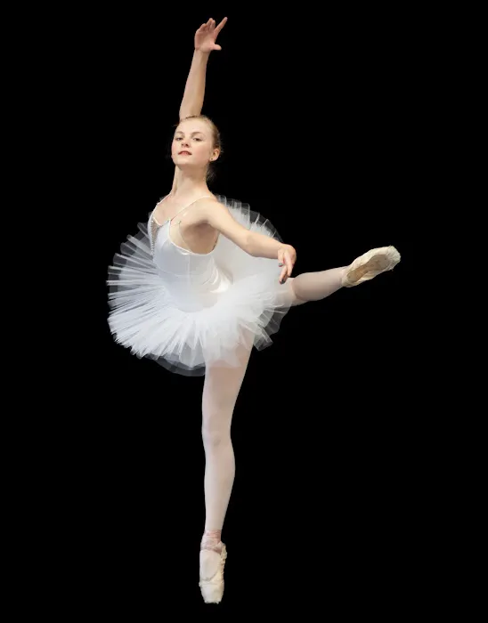 Hendersonville Ballet Picture 6