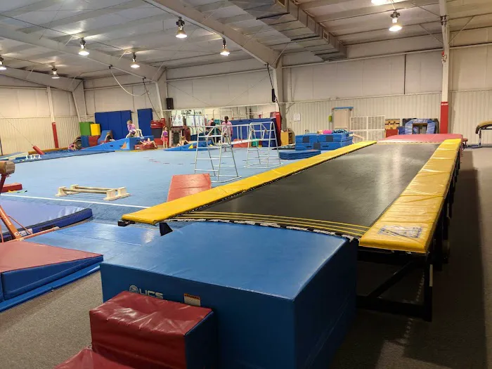 Central Carolina Gymnastics Academy Picture 8
