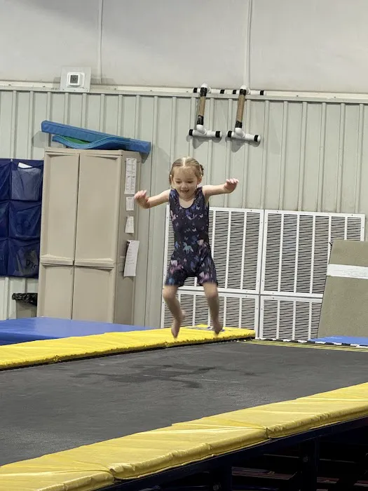 Central Carolina Gymnastics Academy Picture 4