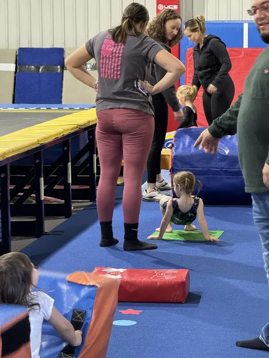 Central Carolina Gymnastics Academy Picture 2