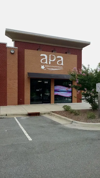 Academy for the Performing Arts Picture 8