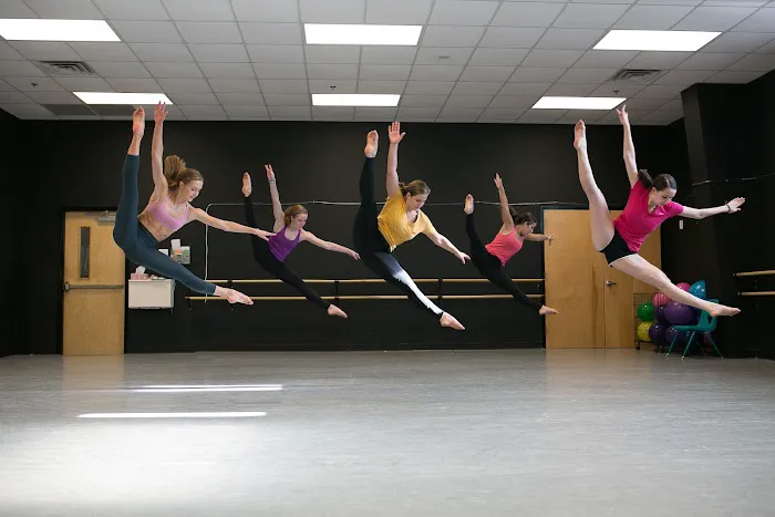 Academy for the Performing Arts Picture 3