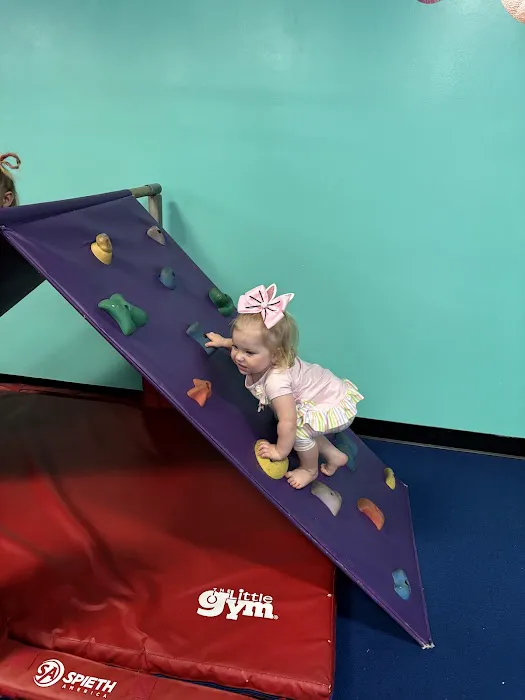 The Little Gym of Fayetteville Picture 2