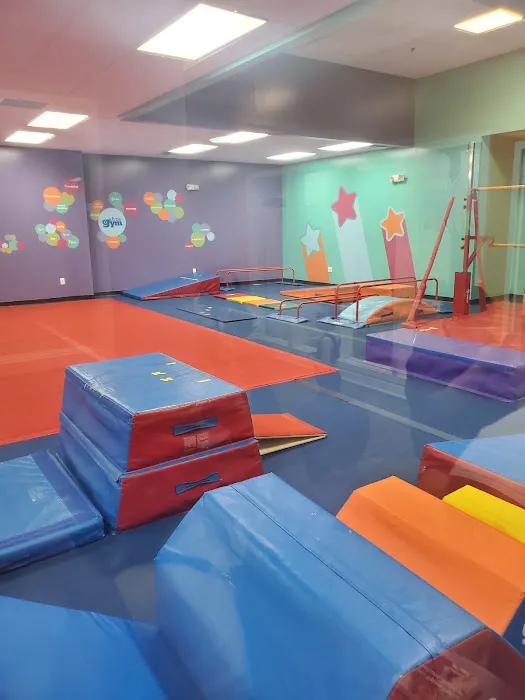 The Little Gym of Fayetteville Picture 6