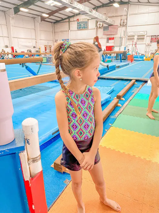 Countryside Gymnastics Picture 8