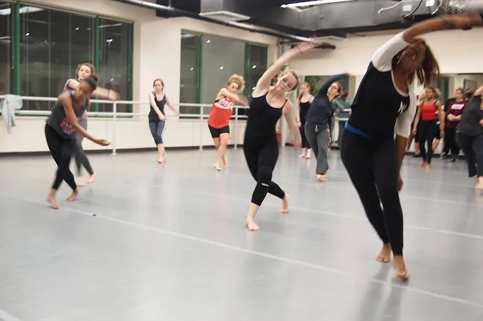 Dance Project Picture 9
