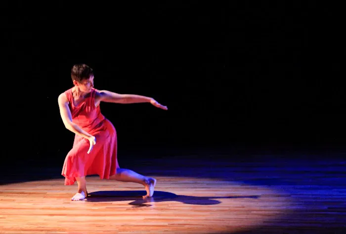 Dance Project Picture 6