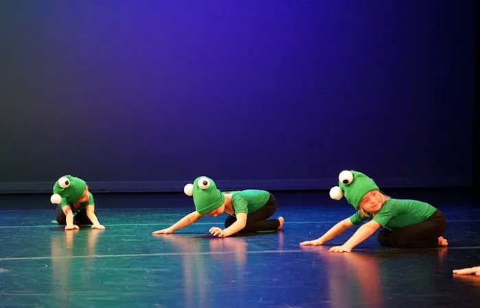 Dance Project Picture 5