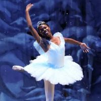 Greensboro Ballet ico