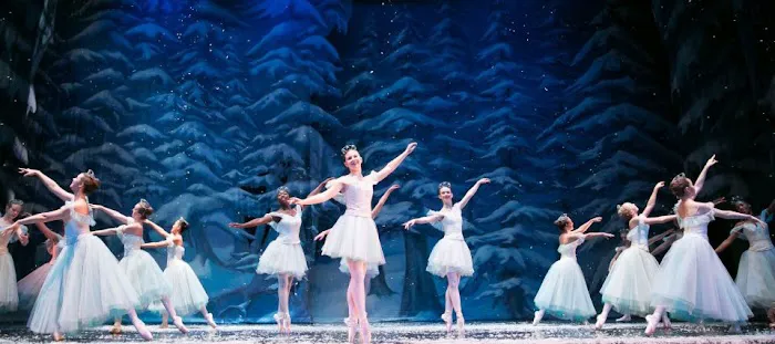 Greensboro Ballet Picture 2