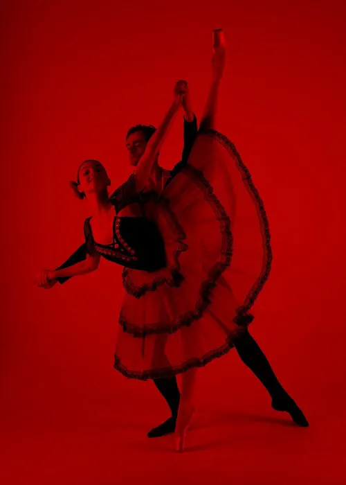 Artistic Motion School of Arts & Preparatory Academy Picture 5