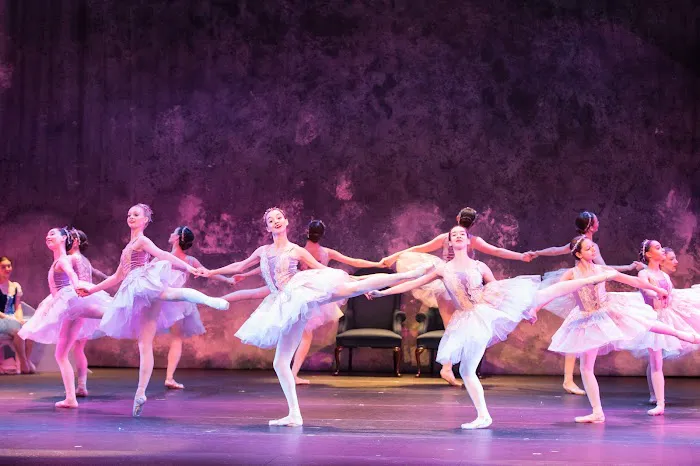 Artistic Motion School of Arts & Preparatory Academy Picture 10