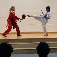 Tiger Kim's World Class Tae Kwon Do Centers ico
