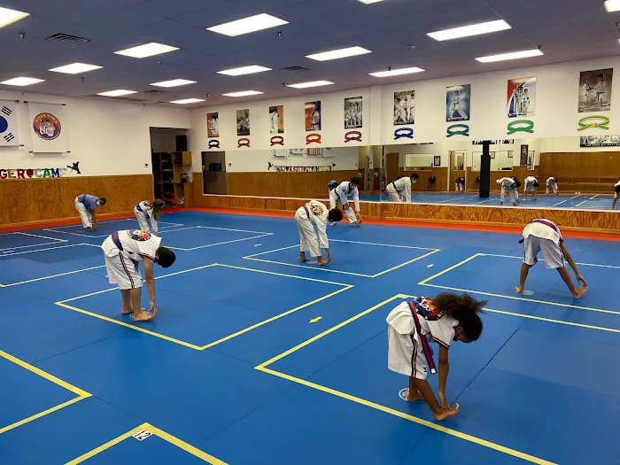Tiger Kim's World Class Tae Kwon Do Centers Picture 2