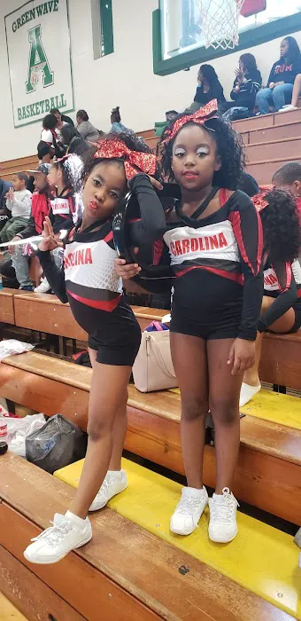 CA Cheer and Dance Picture 4