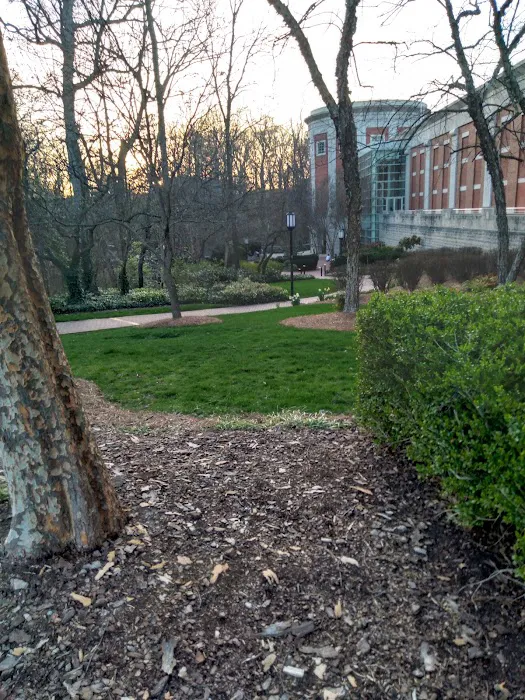 UNCG College of Visual and Performing Arts Picture 8