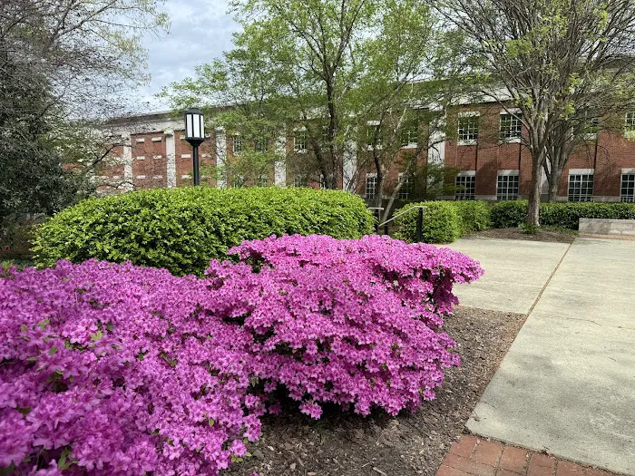 UNCG College of Visual and Performing Arts Picture 10