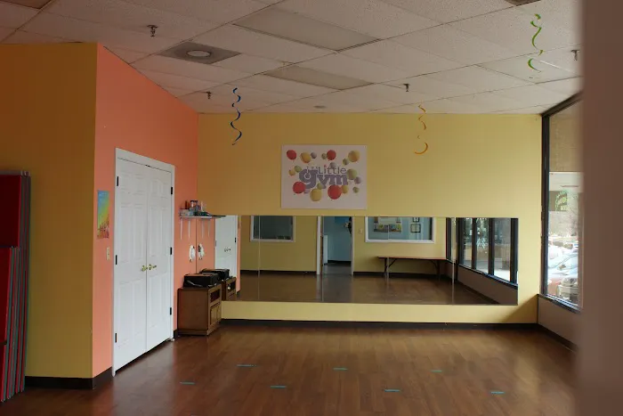 The Little Gym of Greensboro Picture 7