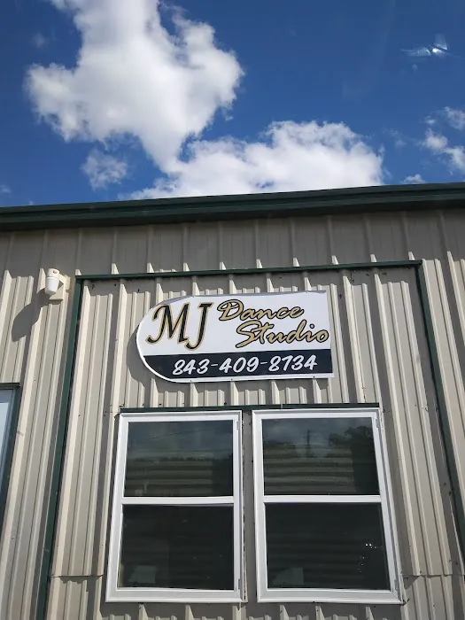 MJ Dance Company, LLC Picture 7