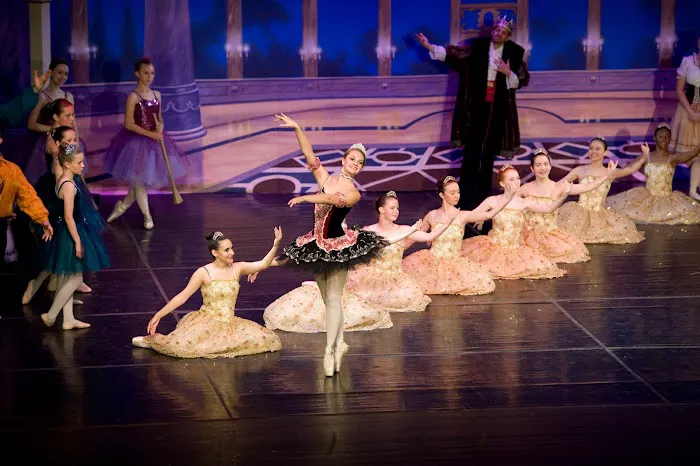The Dance Place LLC Picture 1