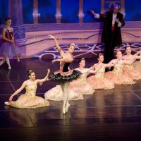 The Dance Place LLC ico