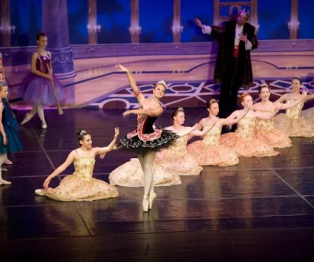 The Dance Place LLC