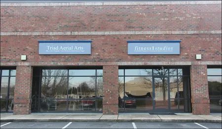 Triad Aerial Arts Picture 1