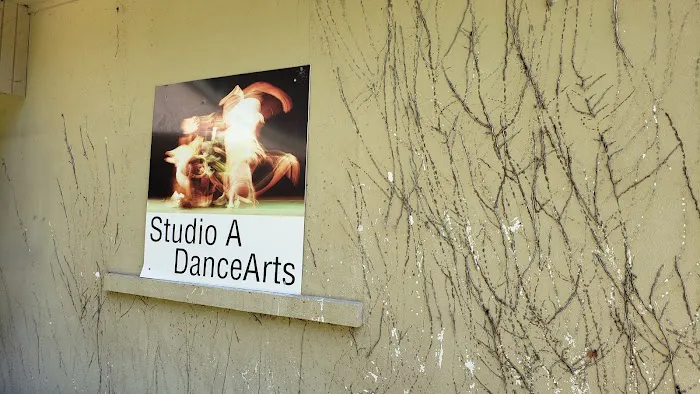 Studio A DanceArts Picture 9