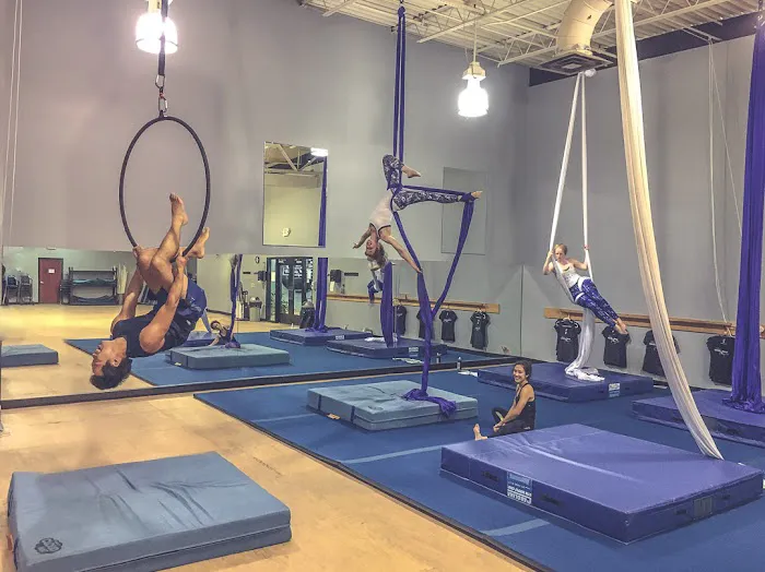 Upside Aerial Arts & Fitness Picture 2