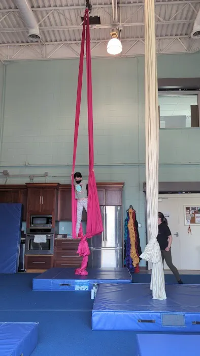 Upside Aerial Arts & Fitness Picture 4